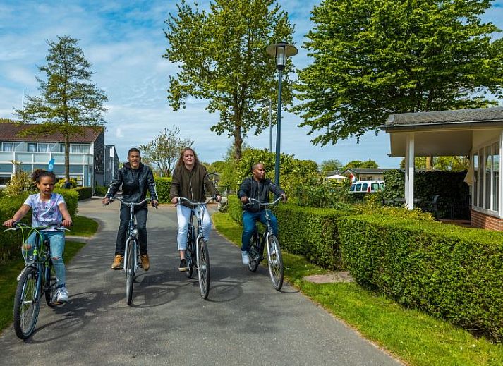 Unterkunft 483733 - Ferienhaus Noord-Holland noord - Vakantiehuis Glampingtent Kompact 2