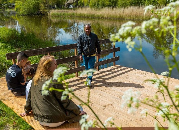 Unterkunft 483733 - Ferienhaus Noord-Holland noord - Vakantiehuis Glampingtent Kompact 2