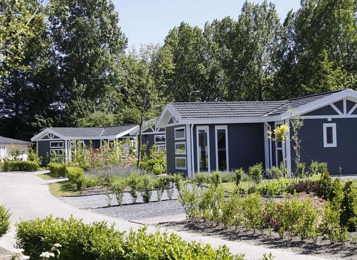 Guest house 483751 - Holiday property Noord-Holland noord - Vakantiehuis T-model 4