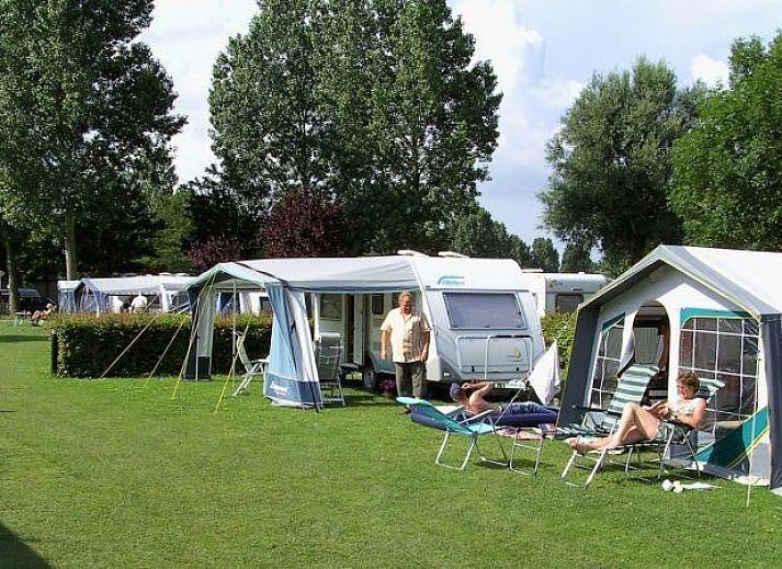 Verblijf 483757 • Chalet Noord-Holland noord • T-model (I 4)