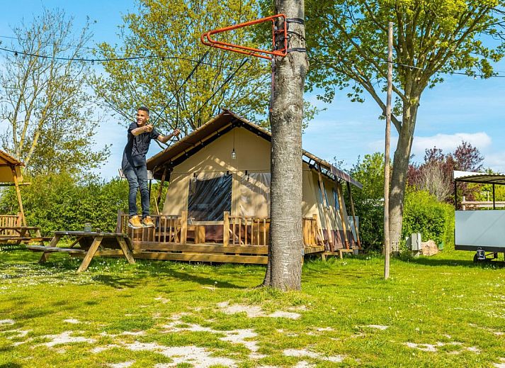 Unterkunft 483760 • Zelthaus Noord-Holland noord • Glampingtent Country