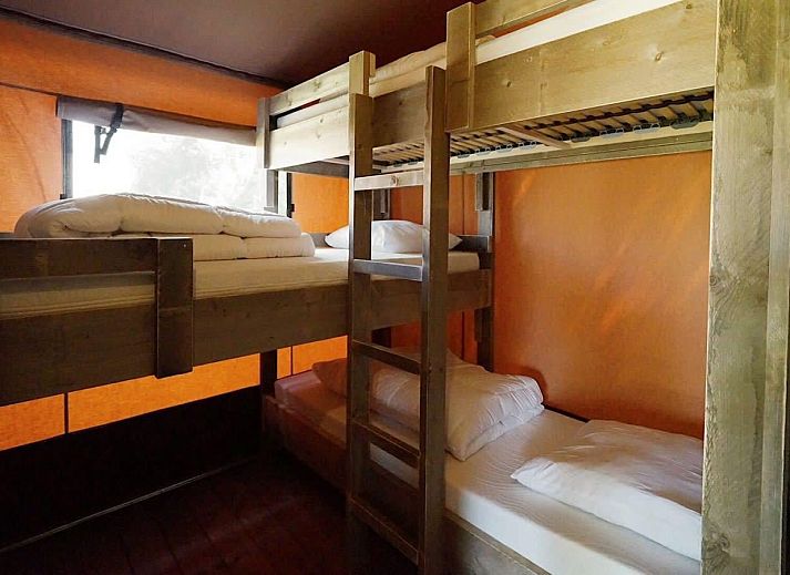 Unterkunft 483761 - Zelthaus Noord-Holland noord - Glampingtent Desert