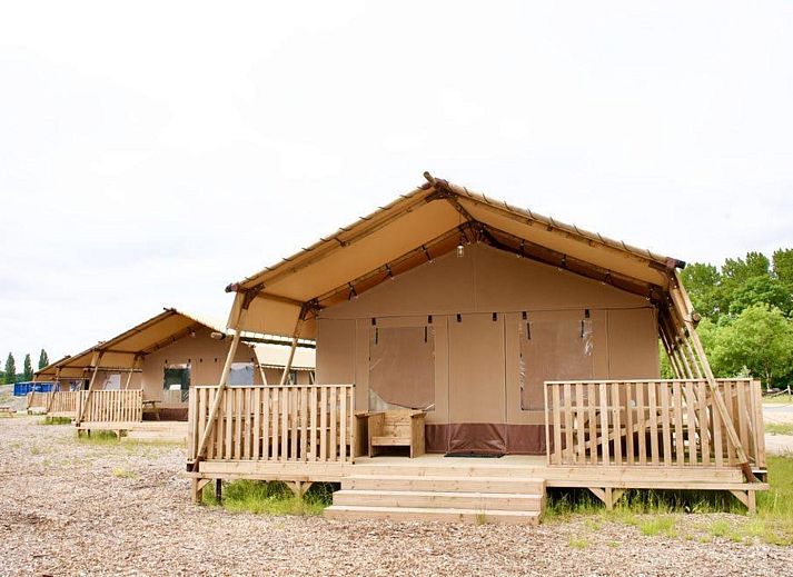 Verblijf 483762 - Tenthuis Noord-Holland noord - Glampingtent Sunshine