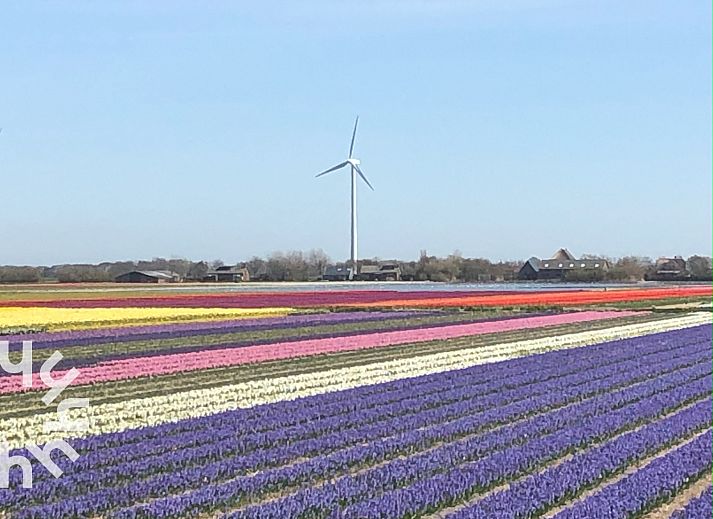 Luftaufnahme des NH392 Ferienhauses in Schoorl, Nordholland mit Terrasse.