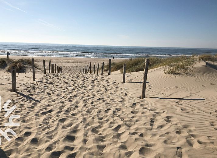 Blick ueber die Stadt in der Naehe des NH392 Ferienhauses in Schoorl, Nordholland.