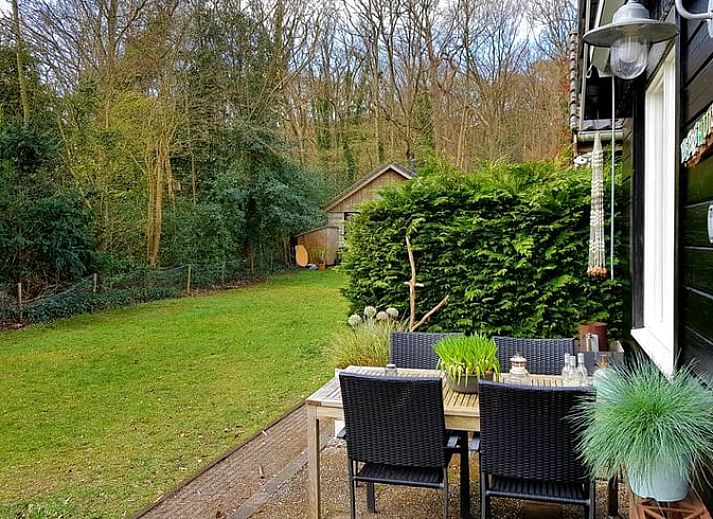 Guest house 4842100 - Holiday property Noord-Holland noord - Vakantiehuisje in Schoorl