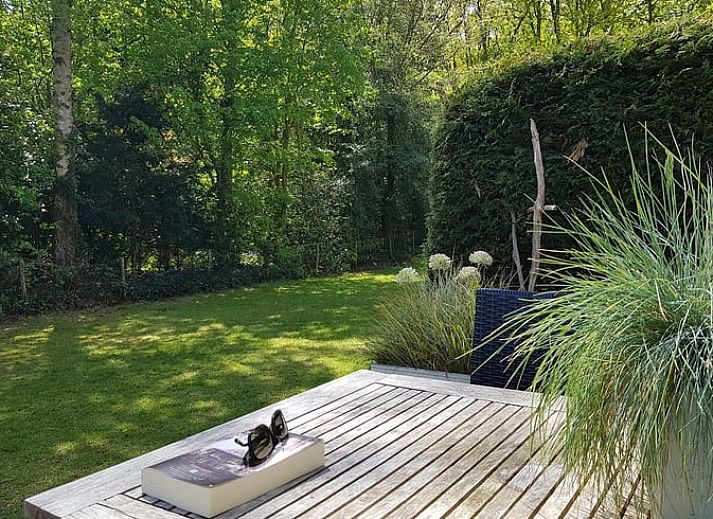 Guest house 4842100 - Holiday property Noord-Holland noord - Vakantiehuisje in Schoorl