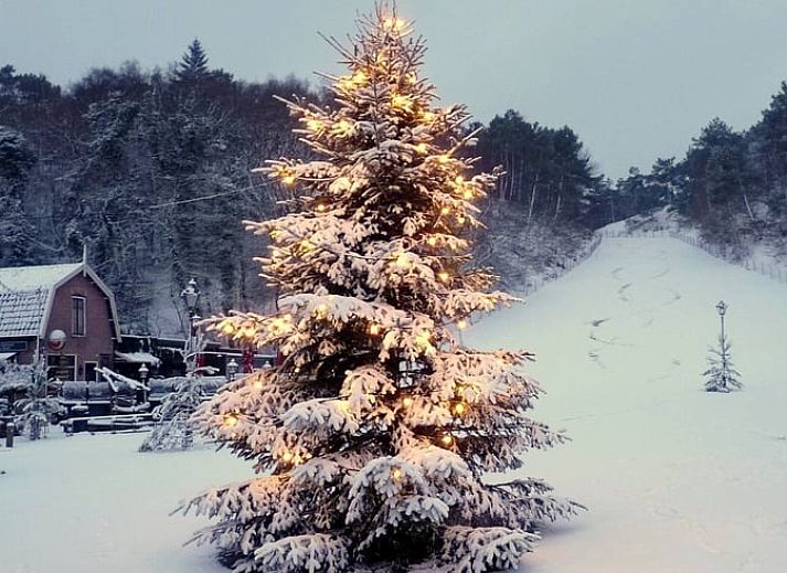 Guest house 4842100 - Holiday property Noord-Holland noord - Vakantiehuisje in Schoorl