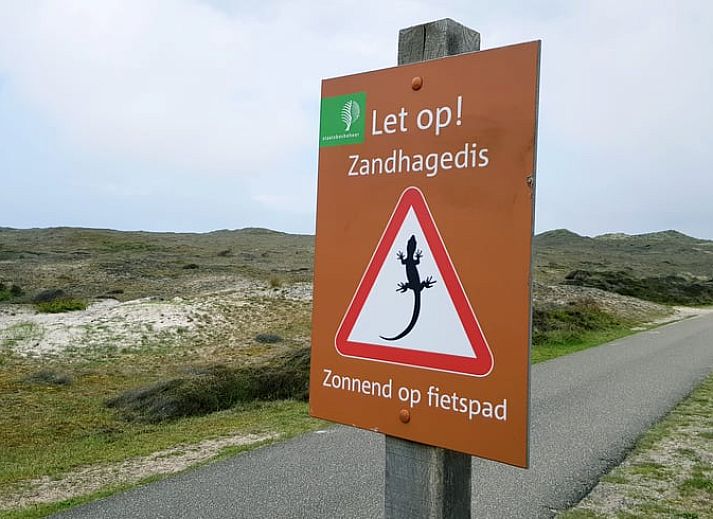 Guest house 4842100 - Holiday property Noord-Holland noord - Vakantiehuisje in Schoorl