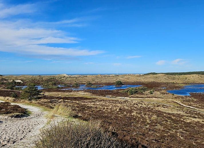 Guest house 4842100 - Holiday property Noord-Holland noord - Vakantiehuisje in Schoorl