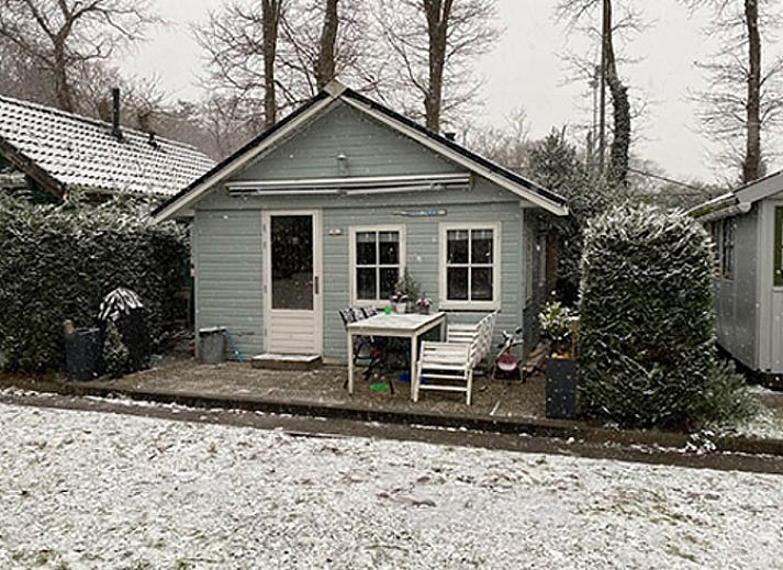 Enjoy the peace and quiet at Huisje in Schoorl, a charming vacation home in North Holland, surrounded by greenery and a sunny terrace.