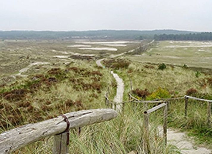 Cozy living room in Cottage in Schoorl, vacation home in North Holland with modern furnishings and a charming fireplace.