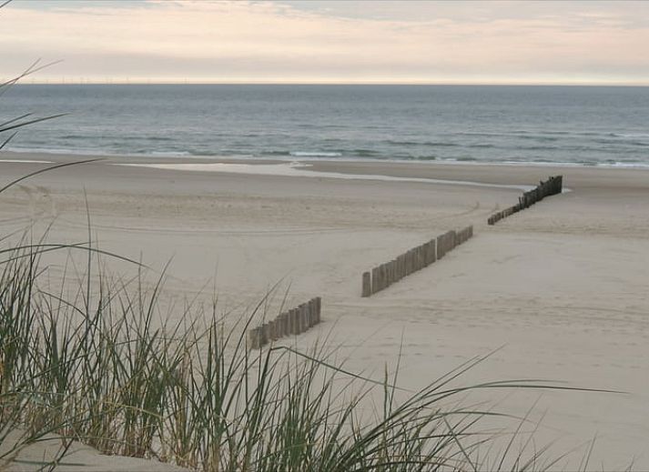 Cozy living room in Cottage in Schoorl, vacation home in North Holland with modern furnishings and a charming fireplace.