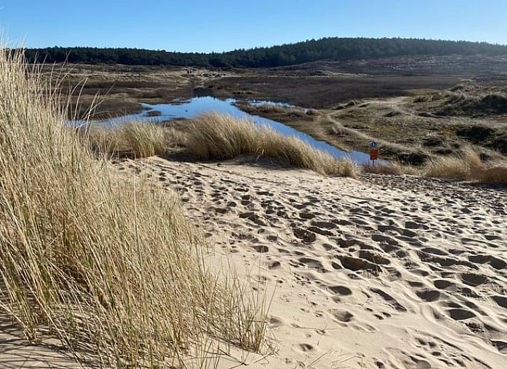 Cozy living room in Cottage in Schoorl, vacation home in North Holland with modern furnishings and a charming fireplace.