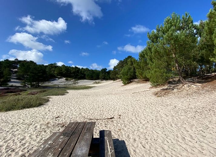 Cozy living room in Cottage in Schoorl, vacation home in North Holland with modern furnishings and a charming fireplace.
