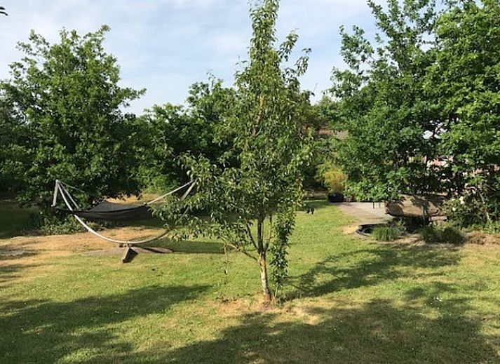 Verblijf 4842122 - Vakantiewoning Noord-Holland noord - Vakantiehuis in Schoorl
