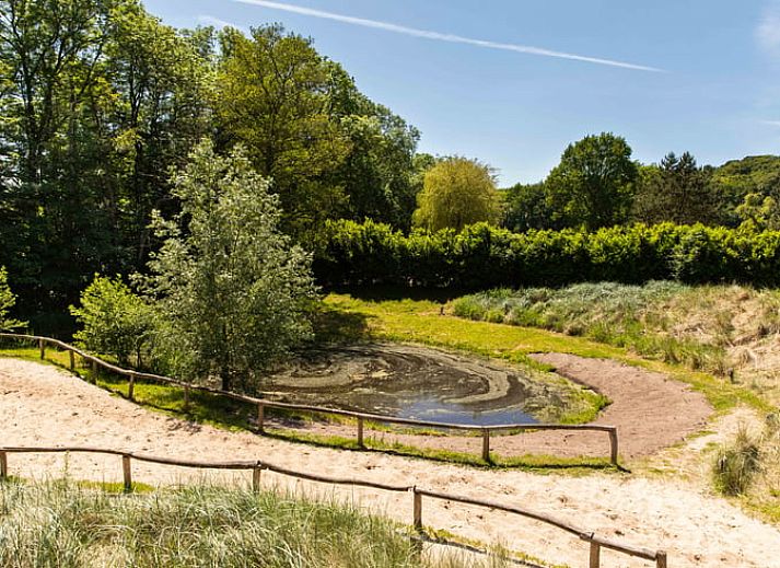 Guest house 4842125 - Holiday property Noord-Holland noord - Vakantiehuisje in Schoorl