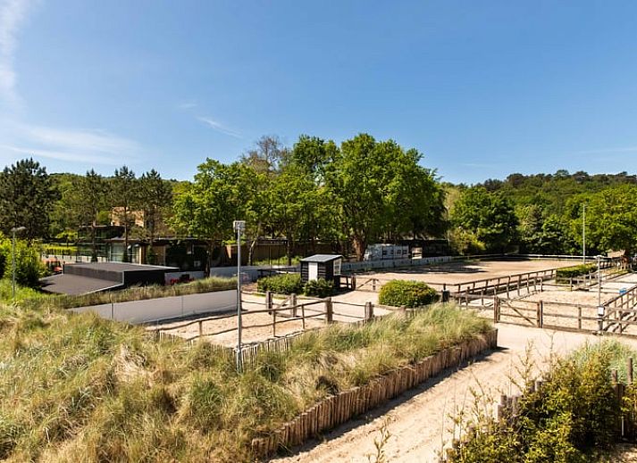 Guest house 4842125 - Holiday property Noord-Holland noord - Vakantiehuisje in Schoorl