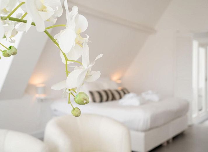 Unterkunft 484214 - Appartement Hart van Brabant - Bossche Suites No2 - Verwersstraat