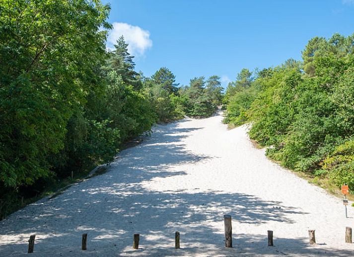 Essbereich im Freien im Ferienhaus in Schoorl, Nordholland Nord, Nordholland, perfekt fuer Mahlzeiten im Freien.