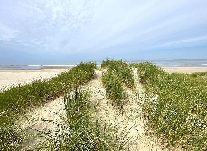 Verblijf 484235 - Vakantiewoning Noord-Holland noord - 2-persoons Duinlodge