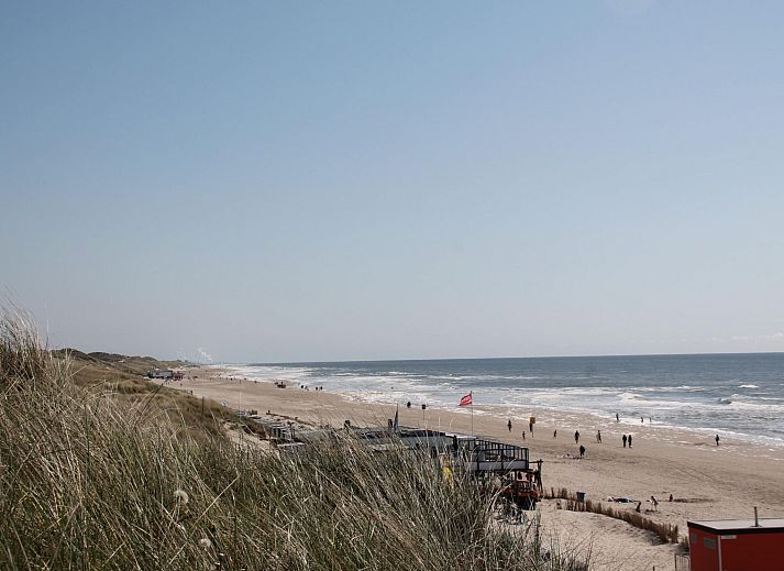 Guest house 484240 - Holiday property Noord-Holland noord - Vakantiehuis Lisakowski-Dorn