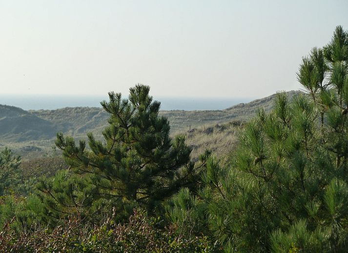 Guest house 484240 - Holiday property Noord-Holland noord - Vakantiehuis Lisakowski-Dorn