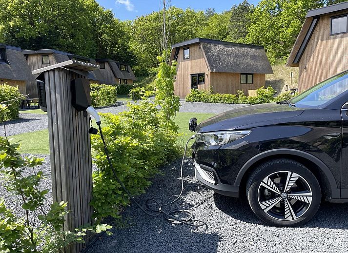Cozy terrace at 6-person Dune Lodge in Schoorl, surrounded by nature.