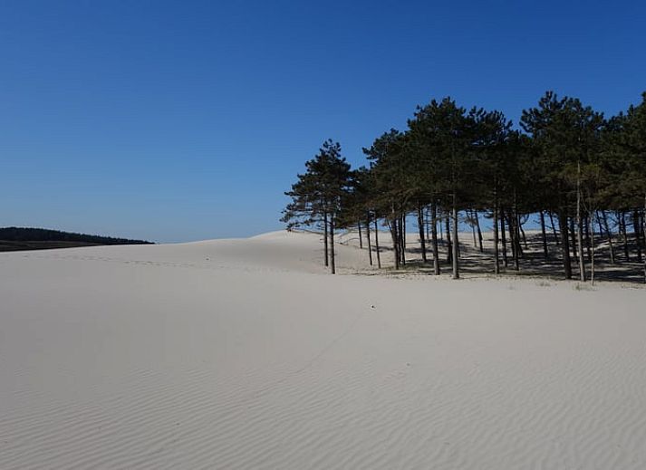 Gezellige binnenruimte in Huisje in Schoorl, Noord-Holland. Vakantiehuis met moderne inrichting en sfeervolle verlichting.