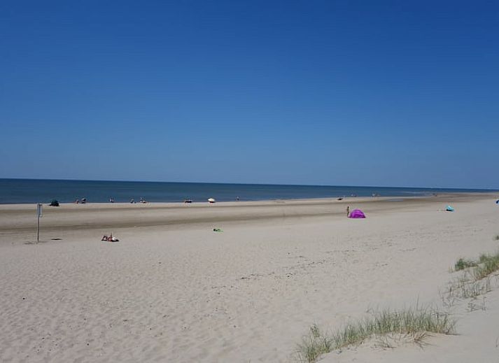 Verblijf 484256 - Vakantiewoning Noord-Holland noord - Huisje in Schoorl