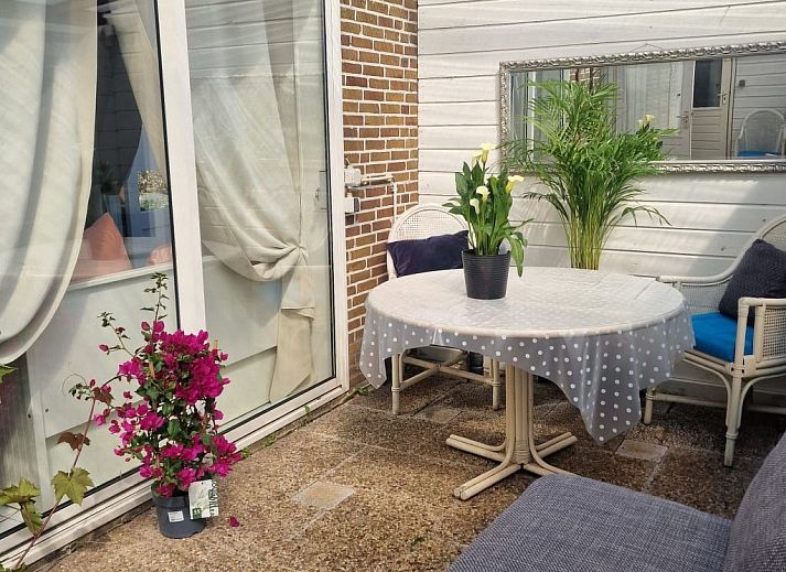 Guest house 484264 - Apartment Noord-Holland noord - Appartement Di Mare