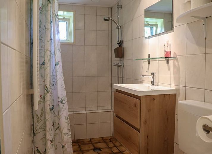 Holiday home in Schoorl, North Holland, with a thatched roof and green garden, ideal for a relaxing stay in nature.