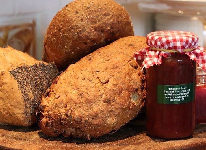 Holiday home in Schoorl, North Holland, with a thatched roof and green garden, ideal for a relaxing stay in nature.