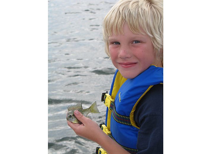 Verblijf 490363 - Chalet Noord-Holland midden - Chalet in Berkhout