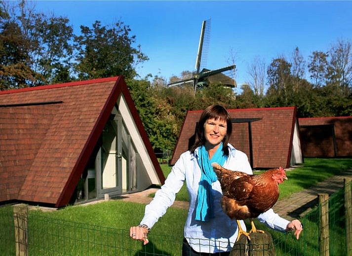 Ferienhaus in Aartswoud, Nordholland, umgeben von gruener Natur und blauem Himmel.