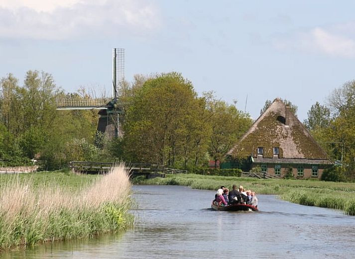 Ein Huhn auf einem Tisch im Ferienhaus in Aartswoud, Nordholland, geniesst den laendlichen Charme.