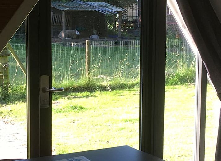 Gaeste des Ferienhauses in Aartswoud geniessen eine Bootsfahrt in Nordholland.