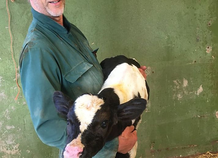 Gaeste des Ferienhauses in Aartswoud geniessen eine Bootsfahrt in Nordholland.