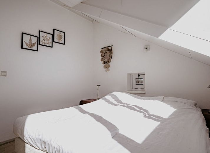 Guest house 490619 - Apartment Noord-Holland midden - Appartement Oostergeest 2