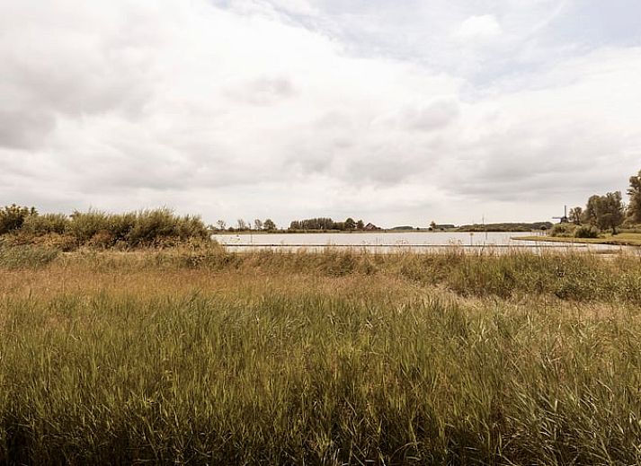 Unterkunft 490624 - Ferienhaus Noord-Holland midden - Vakantiehuisje in Uitgeest