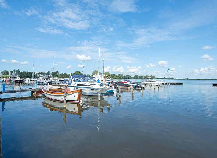 Guest house 490641 - Holiday property Noord-Holland midden - Appartement Assum I