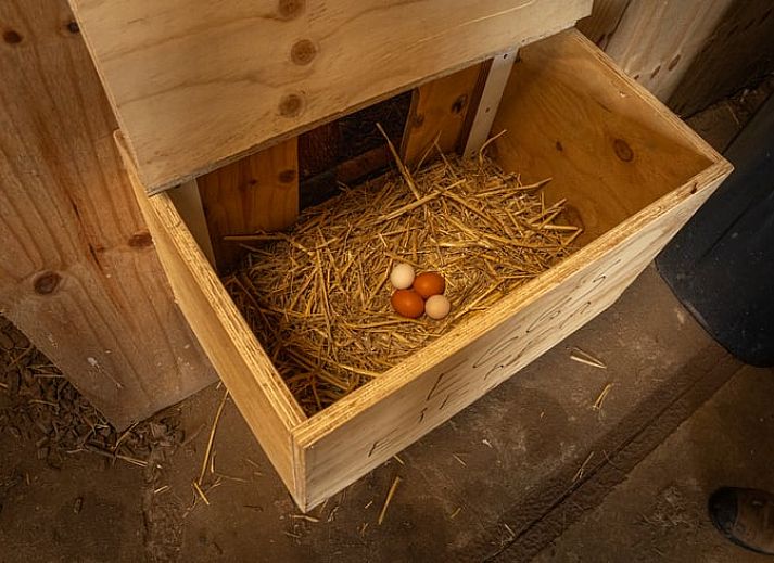 Ferienhaus in Ursem, ein charmantes Ferienhaus in Nordholland mit laendlicher Atmosphaere und hollaendischer Flagge.