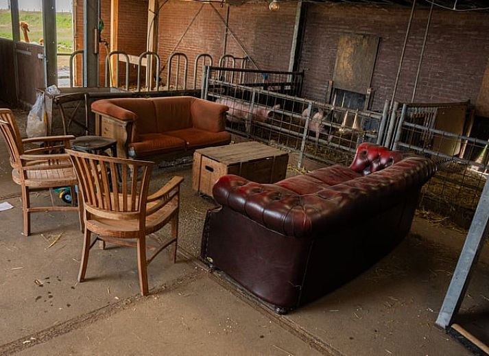 Alpakas werden in der gruenen Umgebung von Huisje in Ursem, einem Ferienhaus in Nordholland, gefuettert.