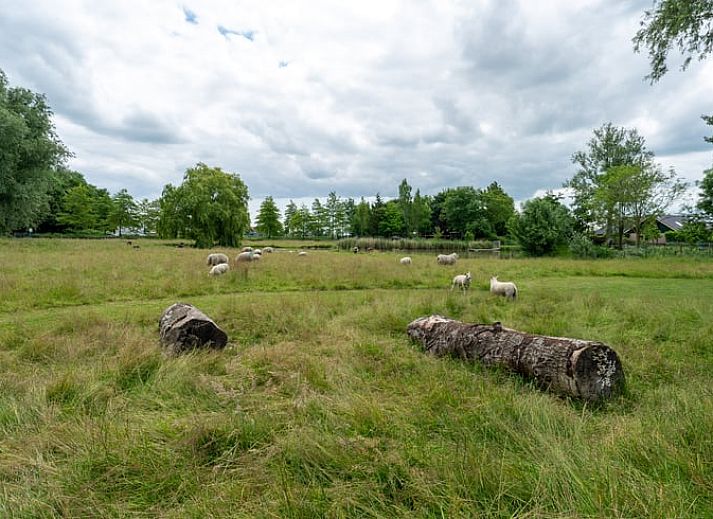 Unterkunft 490904 - Ferienhaus Noord-Holland midden - Vakantiehuis in Hensbroek