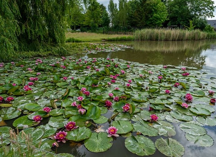 Unterkunft 490904 - Ferienhaus Noord-Holland midden - Vakantiehuis in Hensbroek