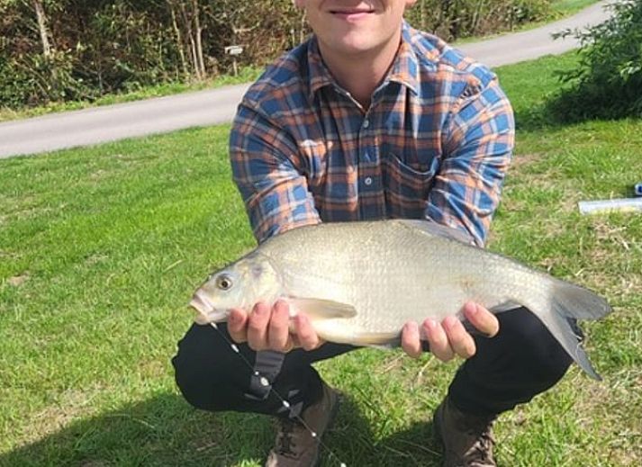 Unterkunft 490909 - Ferienhaus Noord-Holland midden - Huisje in Hensbroek