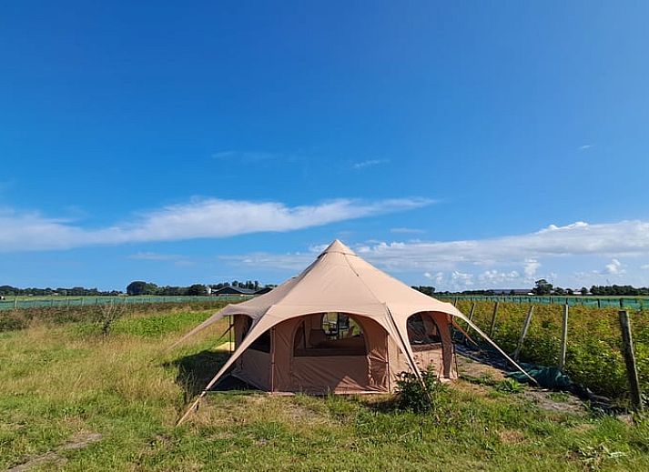 Guest house 490917 • Holiday property Noord-Holland midden • Vakantiehuisje in Hensbroek