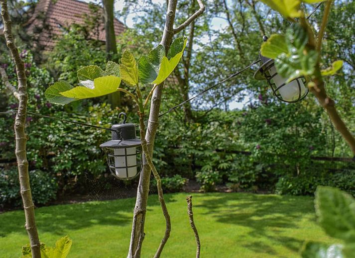 Innenraum des modern eingerichteten Ferienhauses De IJsvogel in Heiloo.
