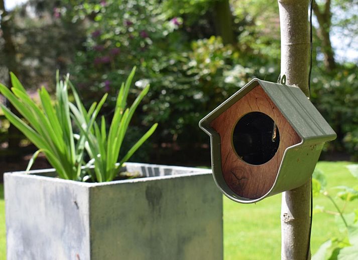 Innenraum des modern eingerichteten Ferienhauses De IJsvogel in Heiloo.