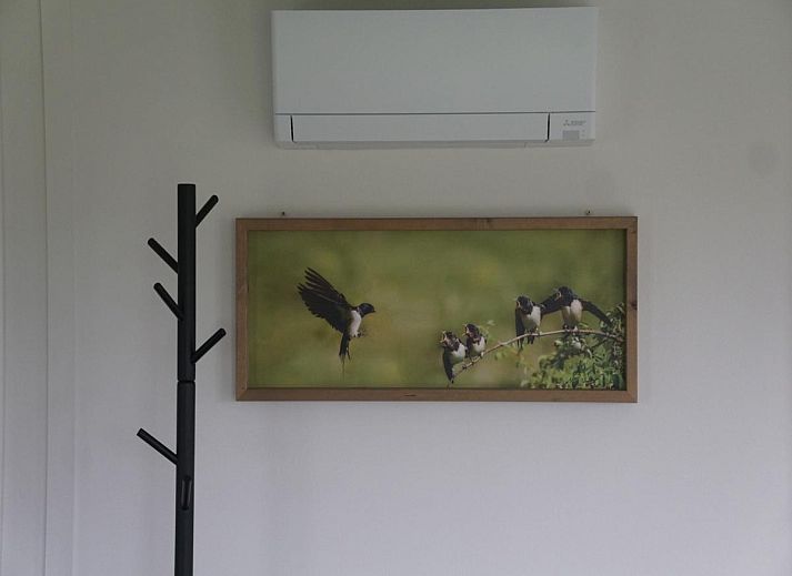 Unterkunft 491911 - Chalet Noord-Holland midden - De Zwaluw